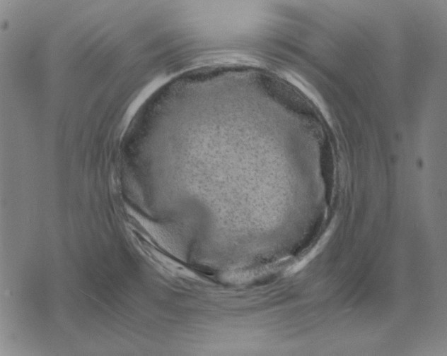 X0000071901481200607281751