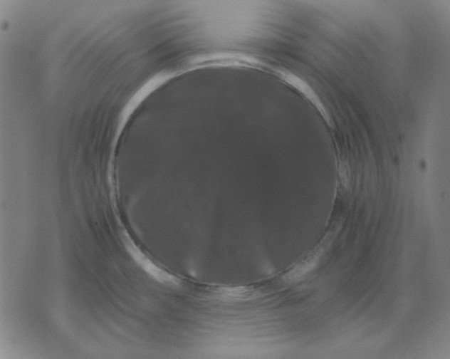 X0000071901482200607281751