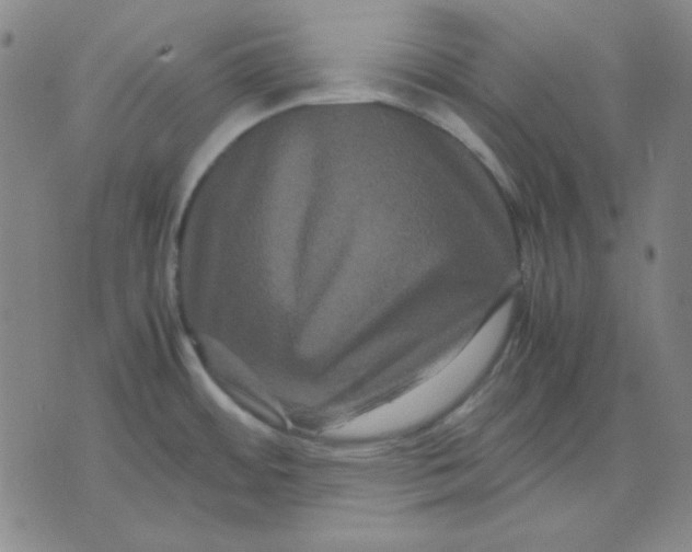 X0000071901484200607281751