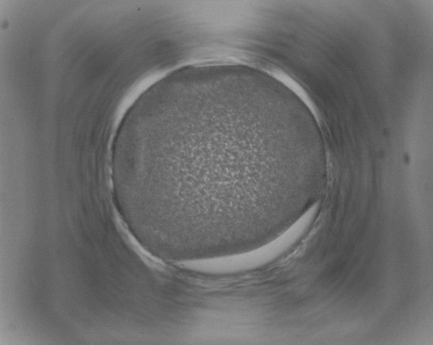 X0000071901485200607281751