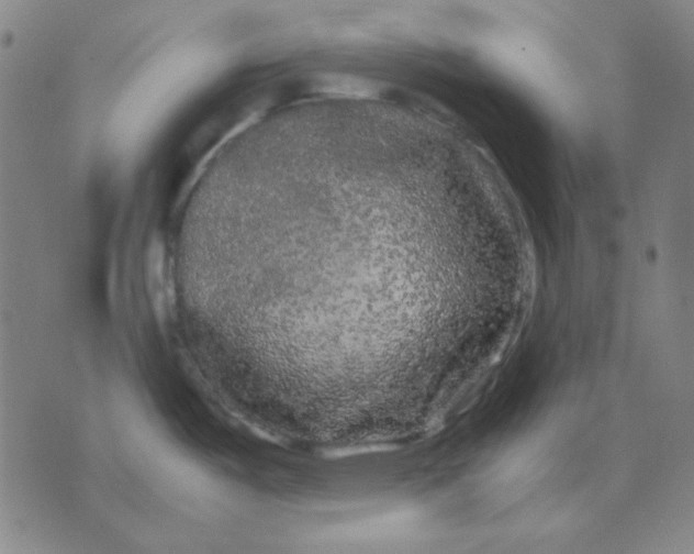 X0000071901487200607281751