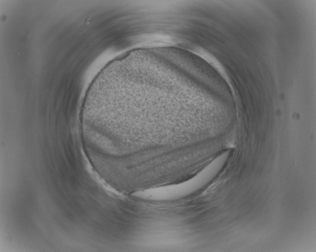 X0000071901488200607281751