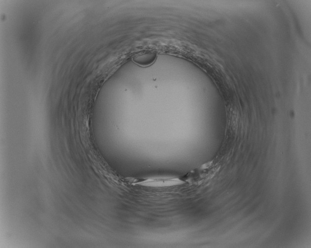 X0000071901489200607281750