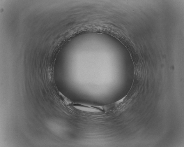 X0000071901490200607281750