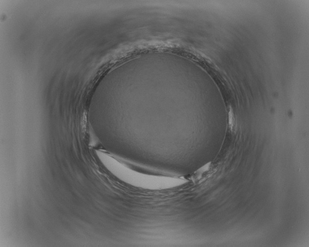 X0000071901492200607281750