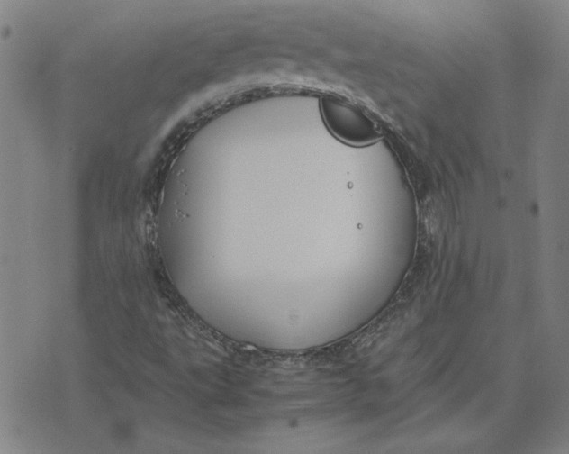 X0000071901495200607281750