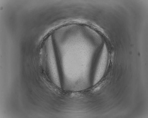 X0000071901496200607281750