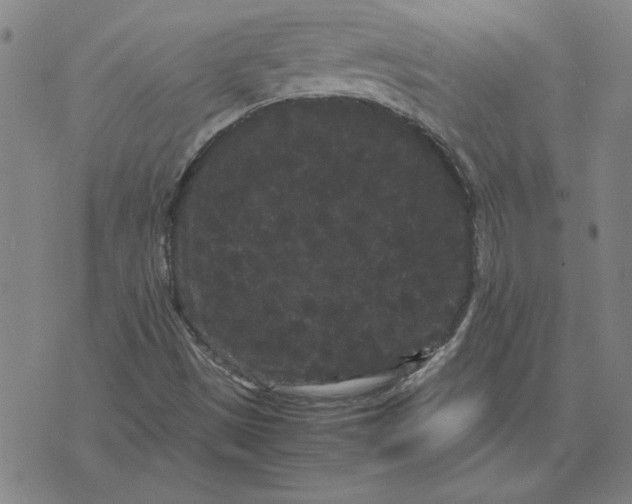 X0000071901497200607281750