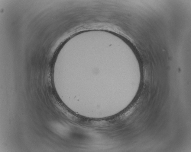 X0000071901498200607281750