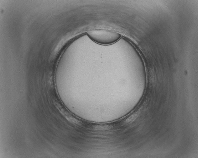 X0000071901499200607281750