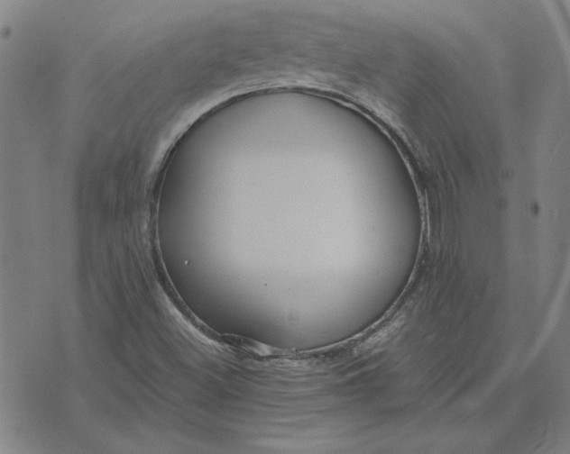 X0000071901500200607281750