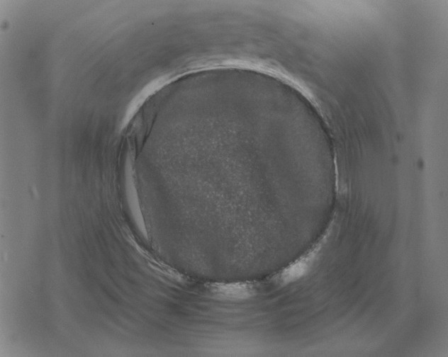 X0000071901501200607281750