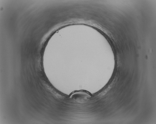 X0000071901502200607281750