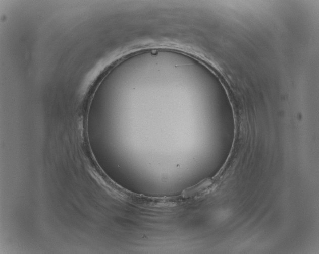 X0000071901503200607281750