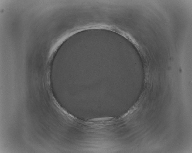 X0000071901504200607281750