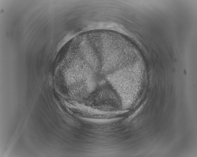 X0000071901505200607281750