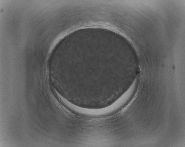 X0000071901506200607281750