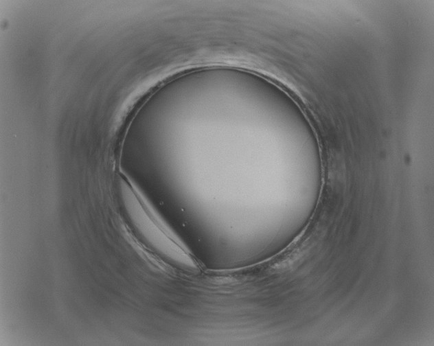 X0000071901507200607281750