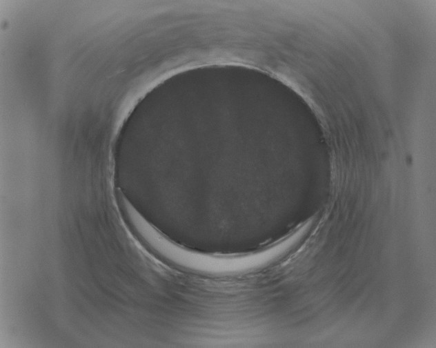 X0000071901508200607281750