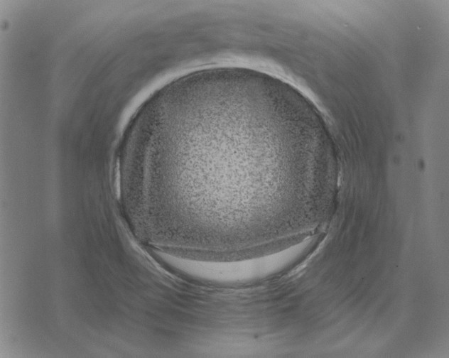 X0000071901510200607281750