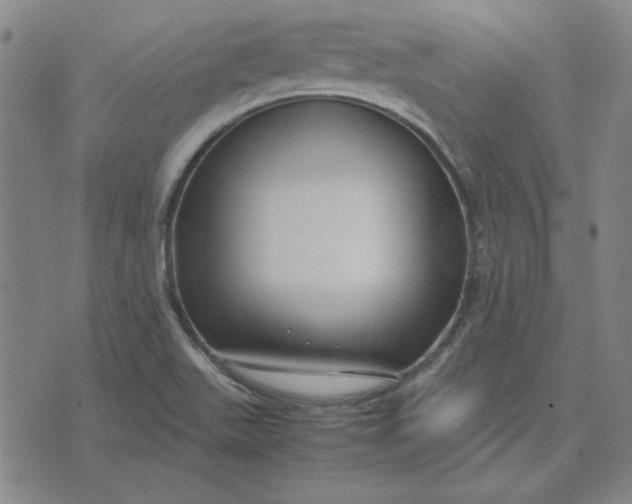 X0000071901511200607281750