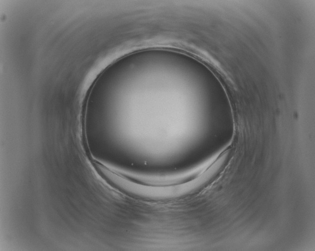 X0000071901512200607281750