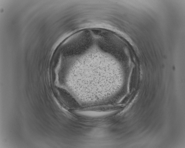 X0000071901513200607281750