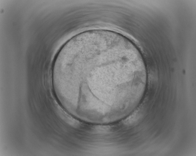 X0000071901514200607281750