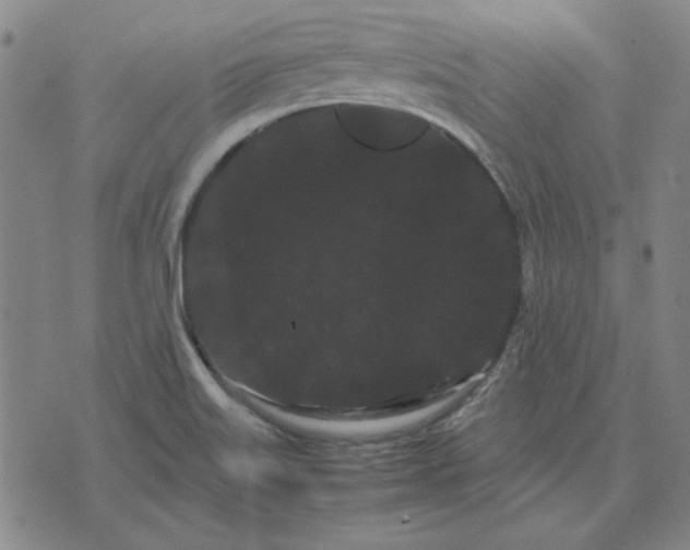 X0000071901515200607281750