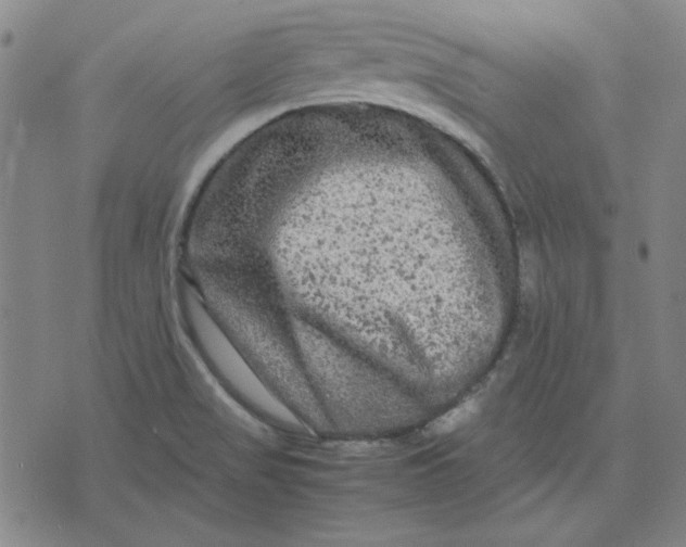 X0000071901517200607281750