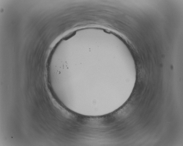 X0000071901518200607281750