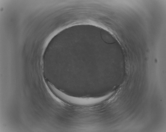 X0000071901519200607281750