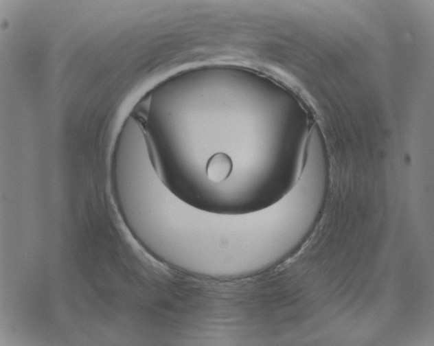 X0000071901520200607281750