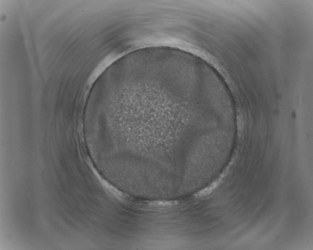 X0000071901521200607281750