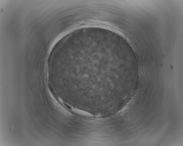 X0000071901522200607281750