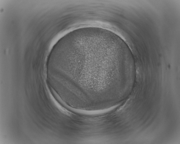 X0000071901523200607281750