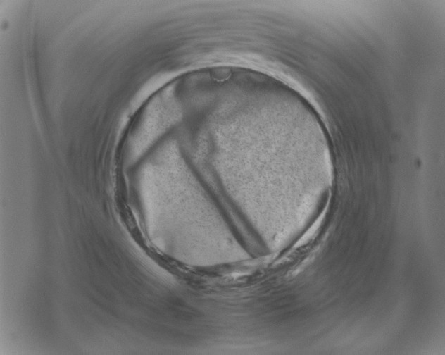 X0000071901525200607281751