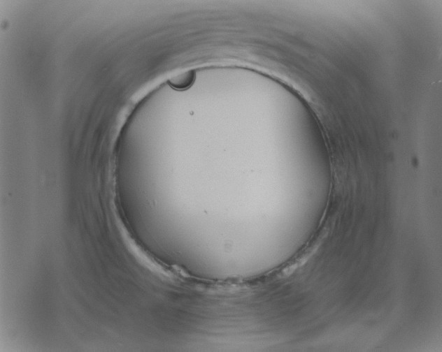 X0000071901526200607281751