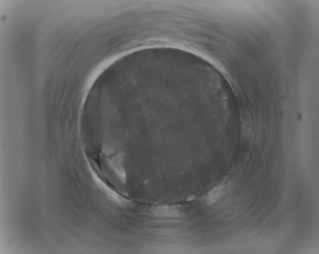 X0000071901527200607281751