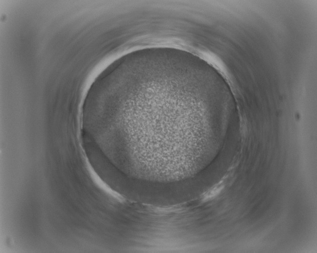 X0000071901528200607281751