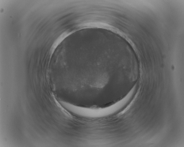 X0000071901529200607281751