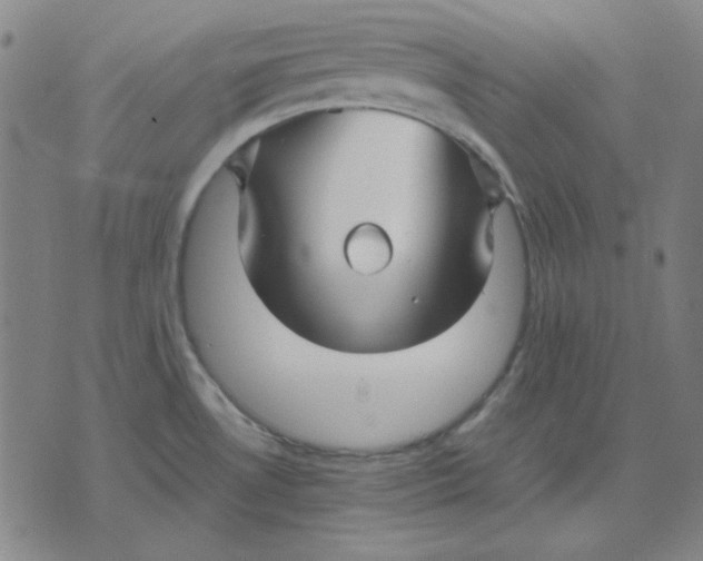 X0000071901530200607281751