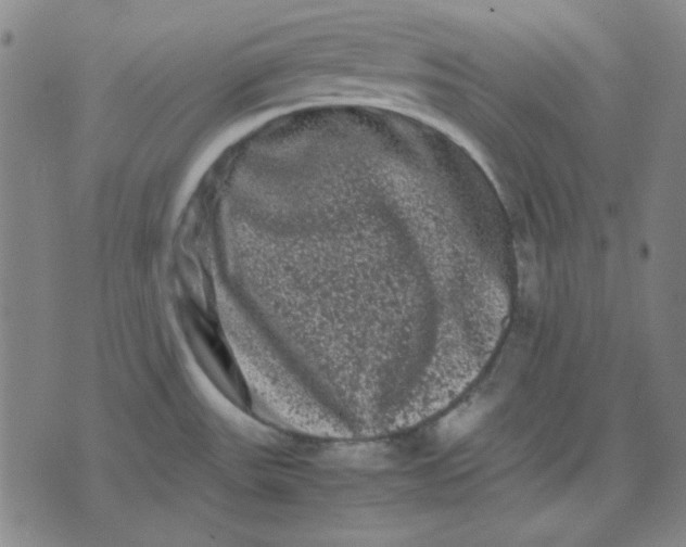 X0000071901531200607281751