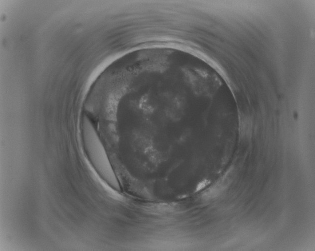 X0000071901533200607281751