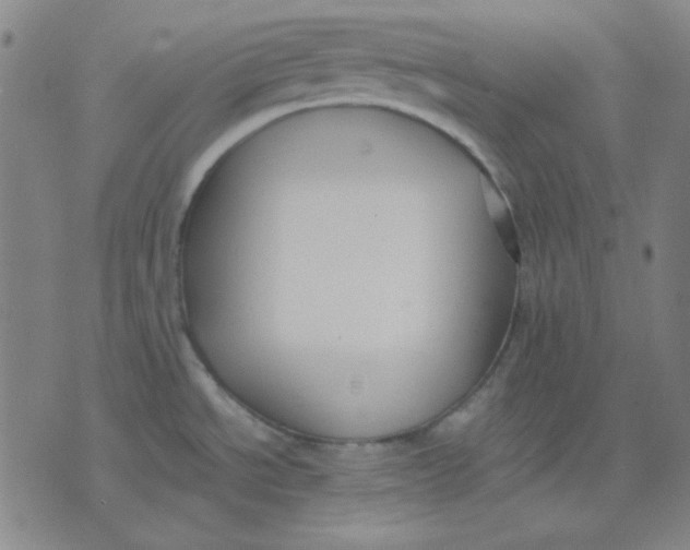 X0000071901534200607281751