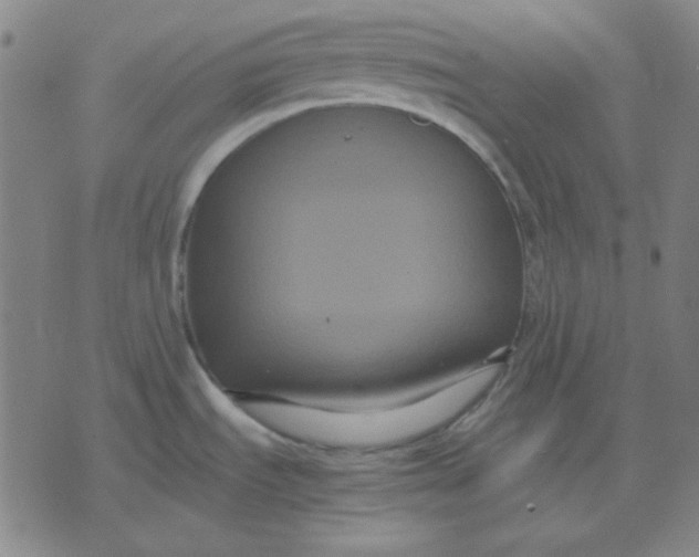 X0000071901535200607281751