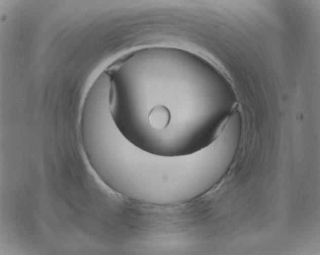 X0000071901536200607281751