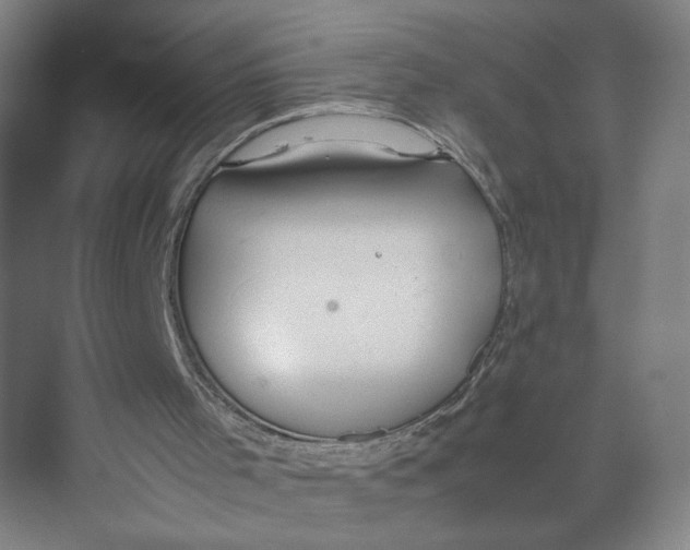 X0000071900001200608041355