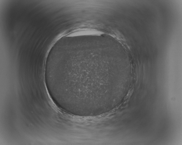 X0000071900003200608041355