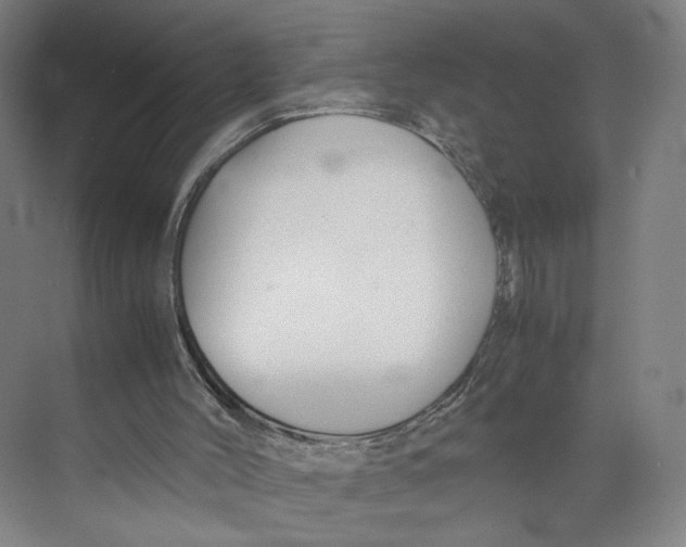 X0000071900004200608041355